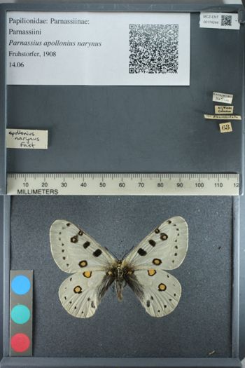 Media type: image;   Entomology 174244